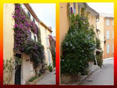 183 D23 BORMES LES MIMOSAS 1_000034